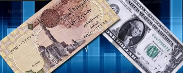 ارتفاع سعر الدولار أمام الجنيه المصري في تعاملات اليوم